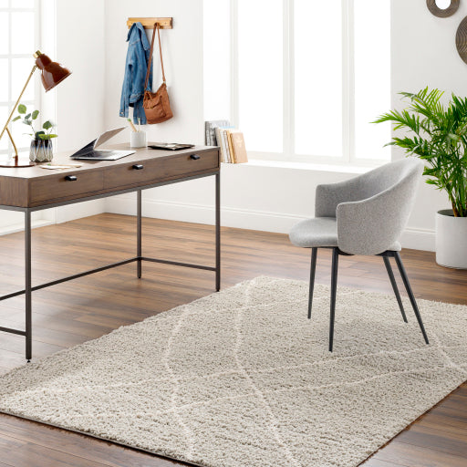 Maryland Shimmer Shag Machine Woven Rug