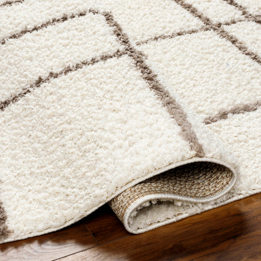 Maryland Shimmer Machine Woven Rug