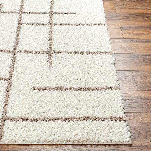 Maryland Shimmer Machine Woven Rug