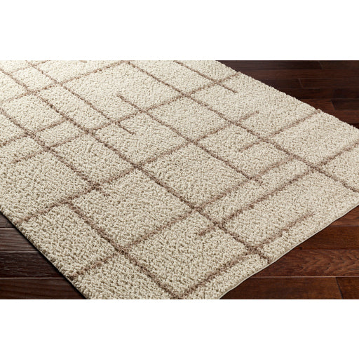 Maryland Shimmer Soft Shag Machine Woven Rug