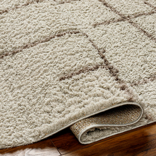 Maryland Shimmer Soft Shag Machine Woven Rug