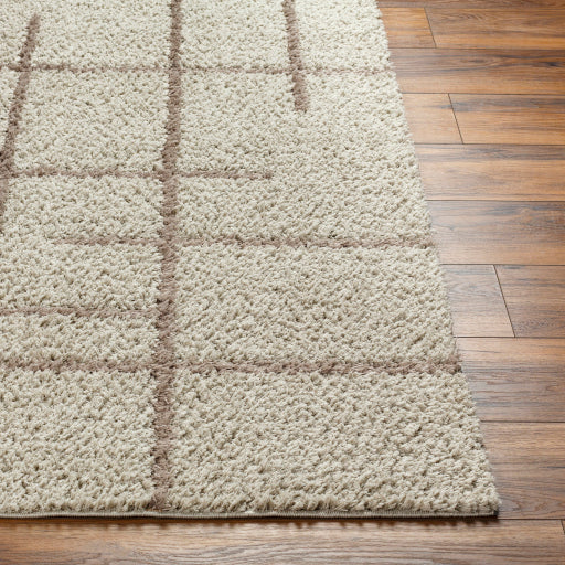 Maryland Shimmer Soft Shag Machine Woven Rug