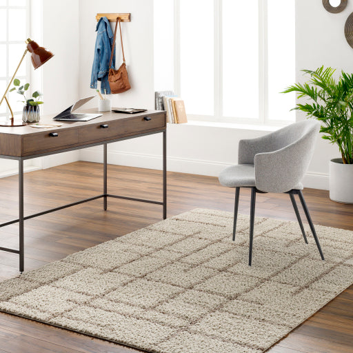 Maryland Shimmer Soft Shag Machine Woven Rug