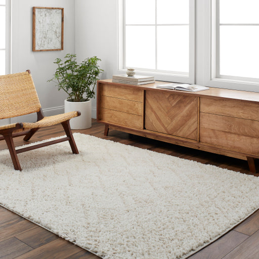 Maryland Shimmer Machine Woven Shag Rug