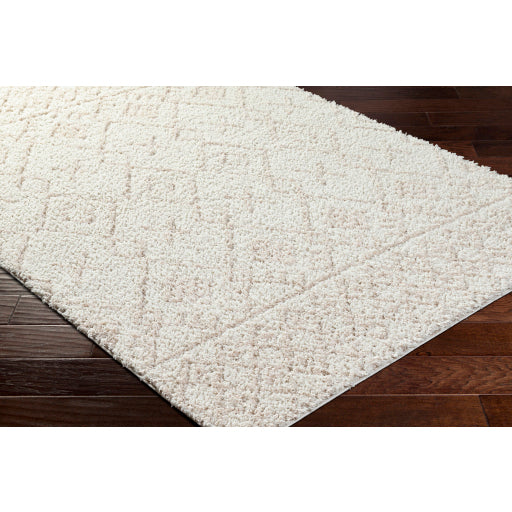 Maryland Shimmer Machine Woven Shag Rug