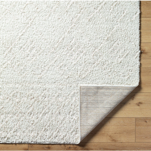Maryland Shimmer Machine Woven Shag Rug