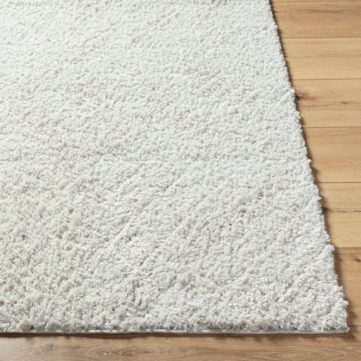 Maryland Shimmer Machine Woven Shag Rug