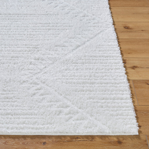 Nomadic Nomad Machine Woven Rug