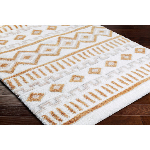 Nomadic Nexus Machine Woven Carpet