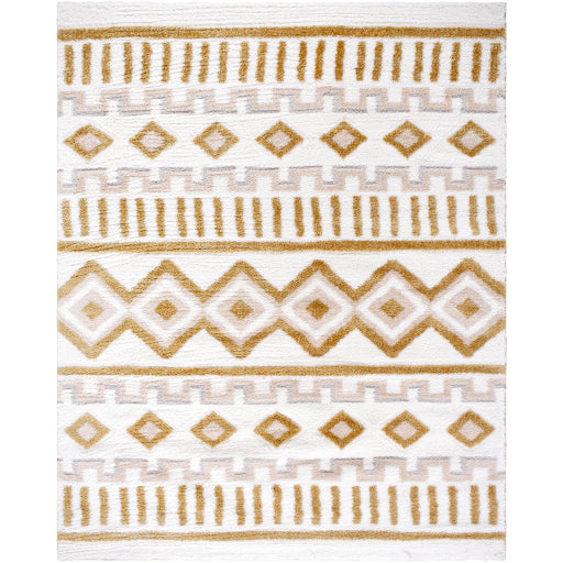 Nomadic Nexus Machine Woven Carpet