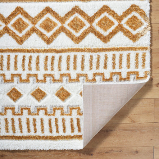 Nomadic Nexus Machine Woven Carpet