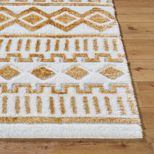 Nomadic Nexus Machine Woven Carpet
