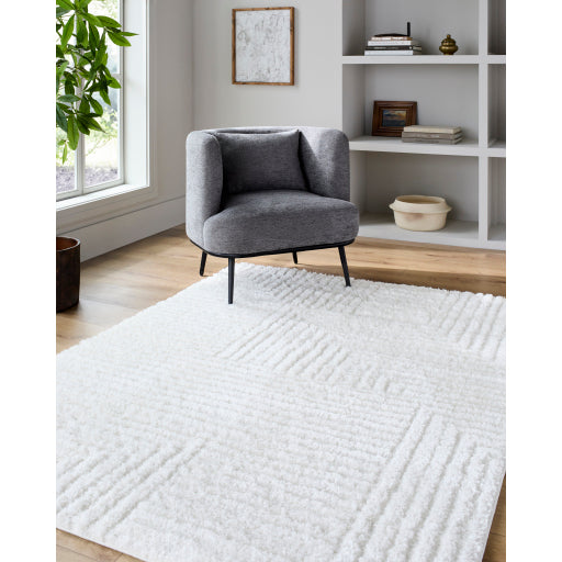 Nomadic Mirage Machine Woven Rug