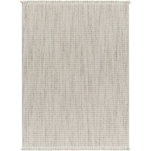 New Delhi Nomadic Weave Handcrafted Rug