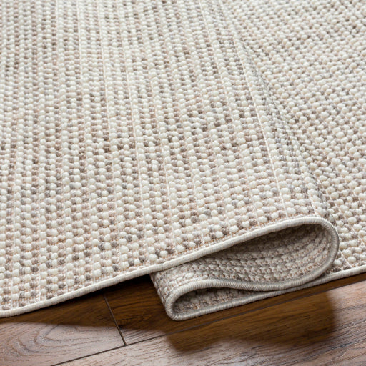 New Delhi Nomadic Weave Handcrafted Rug