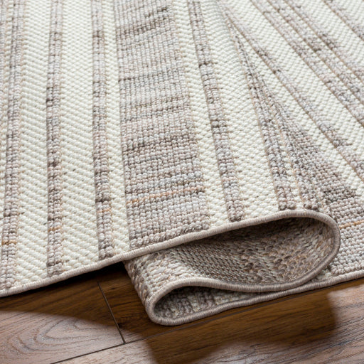 New Delhi Nomadic Weave Handcrafted Rug