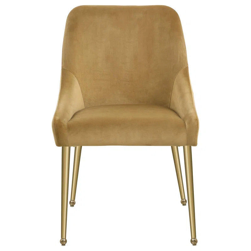 Dineshia Upholstered Dining Side Chair (Set of 2)