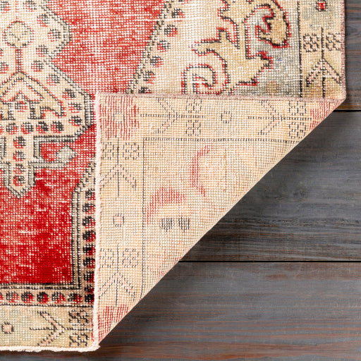 Antique Original Opulence OOAK-1096 Handcrafted Rug