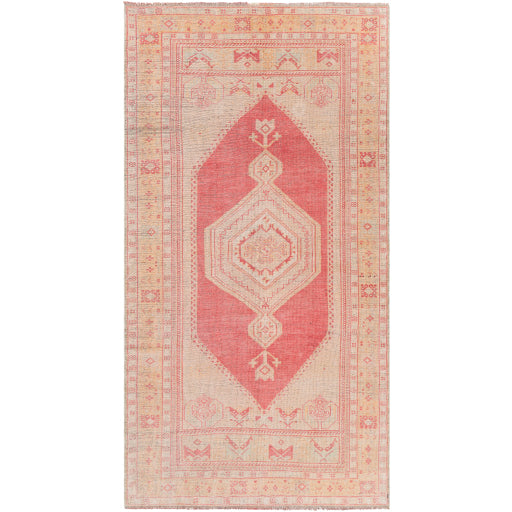 Antique Ornate Original Oriental Outdoor Rug