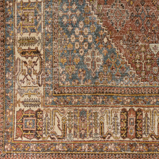 Antique One of a Kind Opulent Oriental Handcrafted Rug