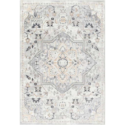 Perception Paisley Pattern Machine Woven Rug