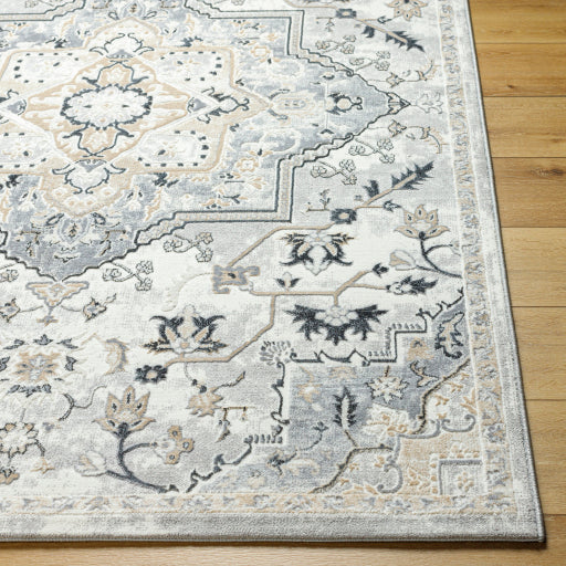 Perception Paisley Pattern Machine Woven Rug