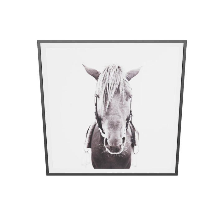 Mare Wall Art With Frame