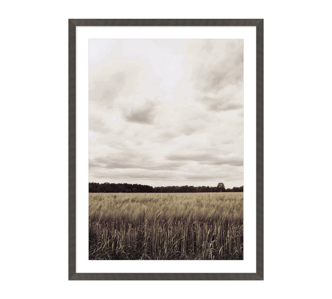 Sepia Wheatland Print Wall Art-19"x25"