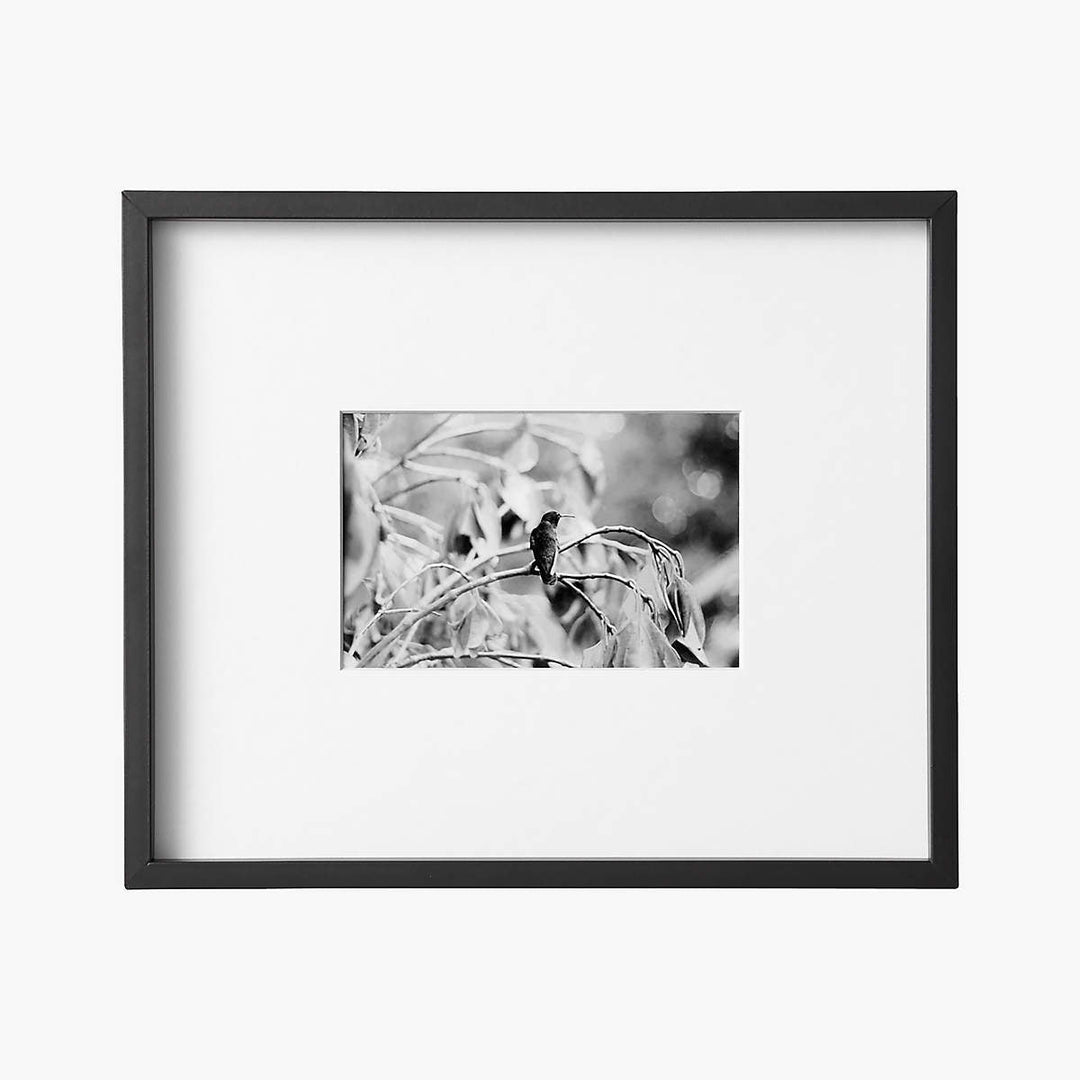Gallery Black Frame-4''x6''