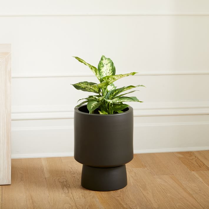 Bishop Indoor Outdoor Pedestal Planters