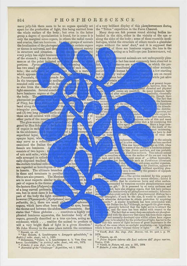 Phosphorescence by Michela Sorrentino with Frame-25"x18"