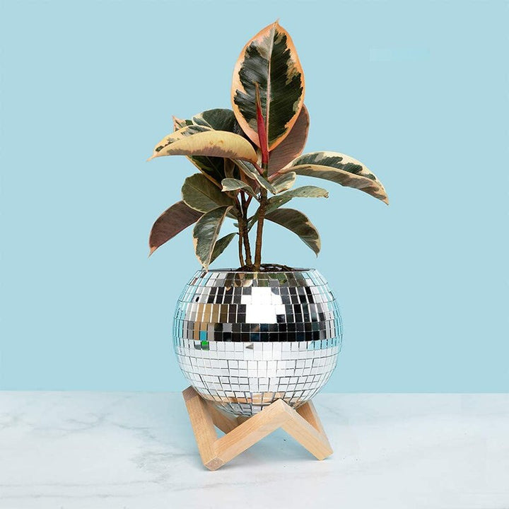 Disco Ball Planter