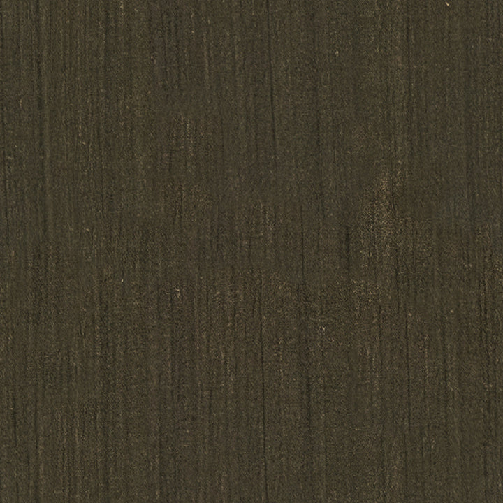 Abbey Silk Fringe Pillow Cover