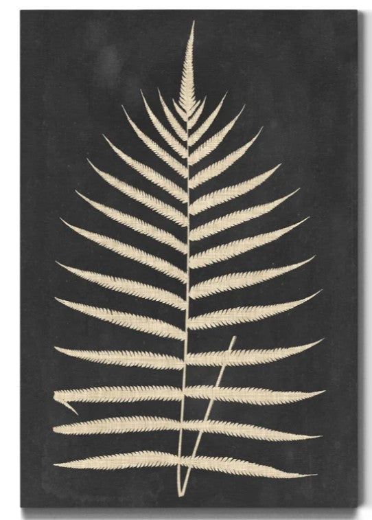 Linen Fern III Wrapped Canvas Print No Frame 16"x20"