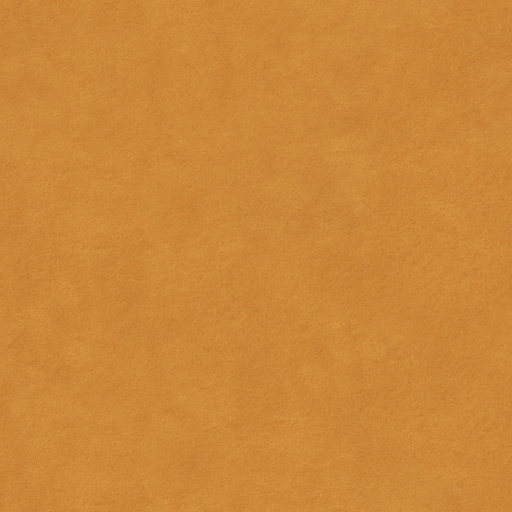 Ekstrom Pom Pom Velvet Lumbar Pillow Cover No Insert-20"x12"