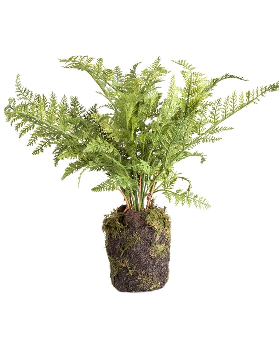 Faux Fern Drop In