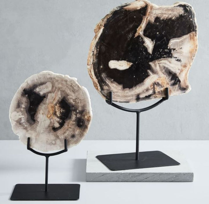 Petrified Wood Object on Stand