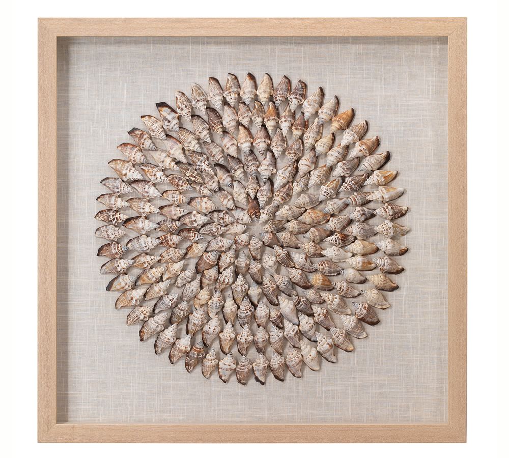 Tulip Shell Shadow Box Wall Art With Frame