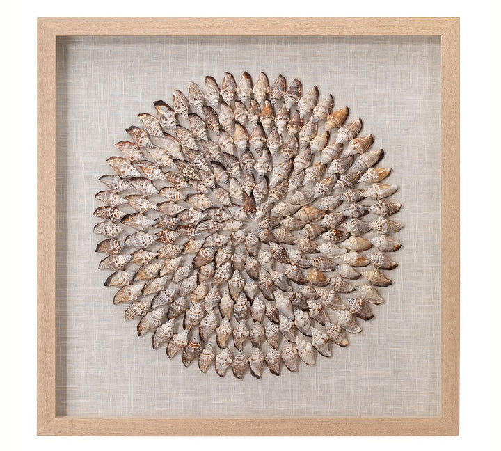 Tulip Shell Shadow Box Wall Art With Frame