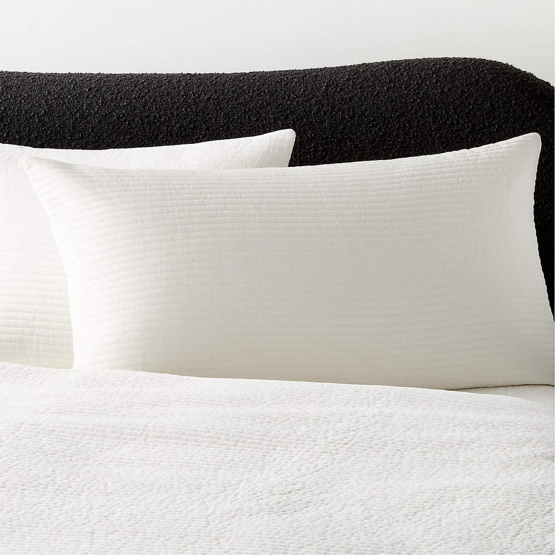 SHADOW IVORY VELVET KING PILLOW SHAMS