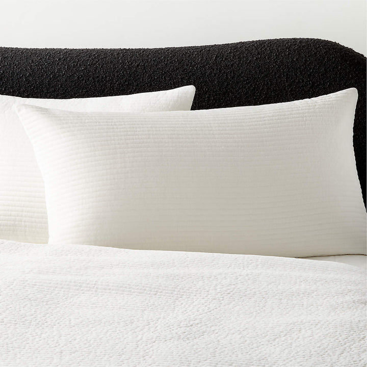 SHADOW IVORY VELVET KING PILLOW SHAMS