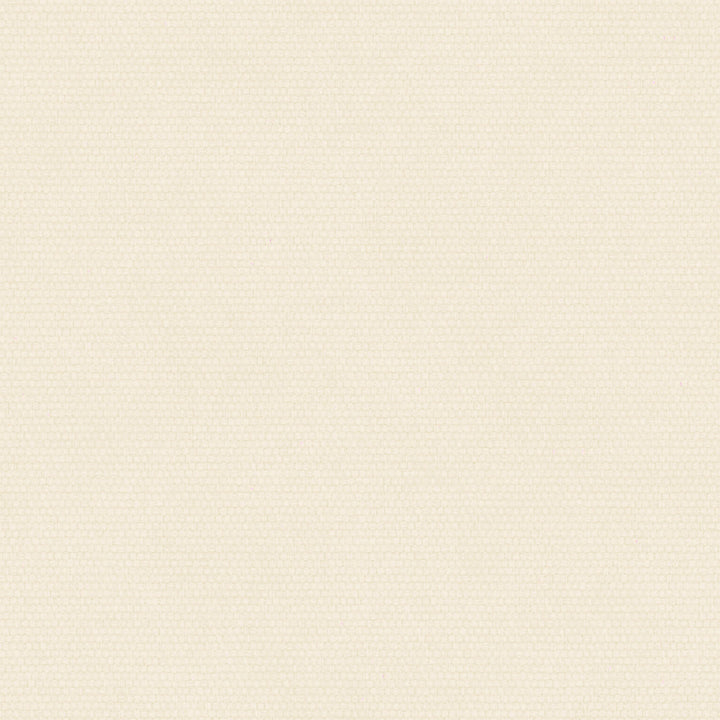 Maleah Lumbar Pillow Cover With No Insert-24"x14"