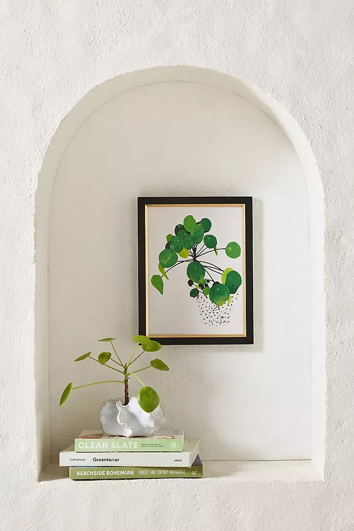 Pila Peperomioides Wall Art With Frame