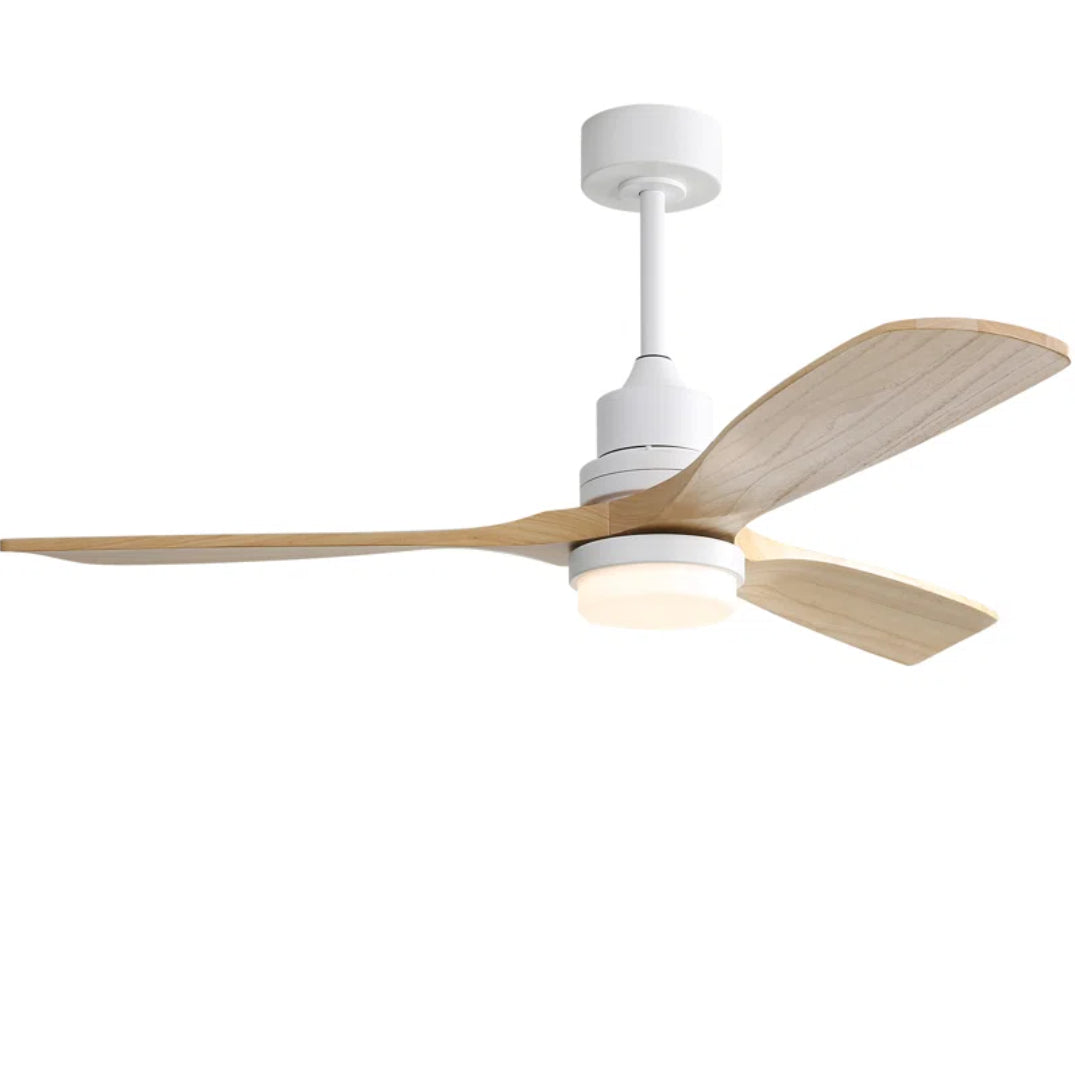 Nicola Ceiling Fan with LED Lights
