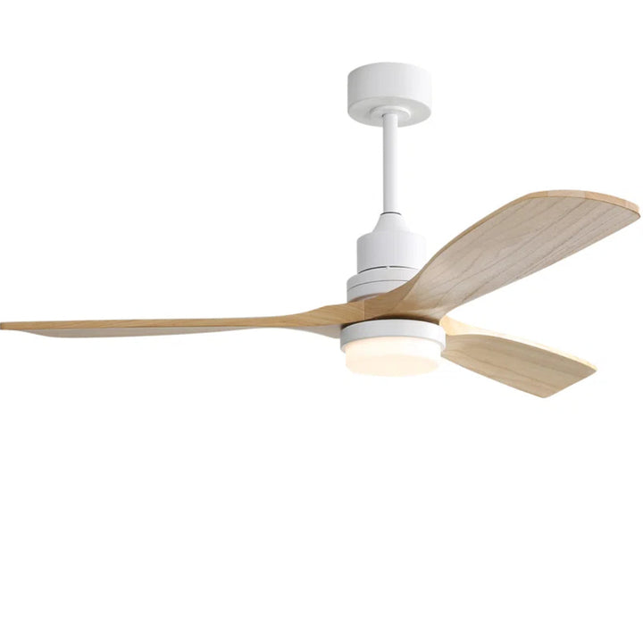 Nicola Ceiling Fan with LED Lights