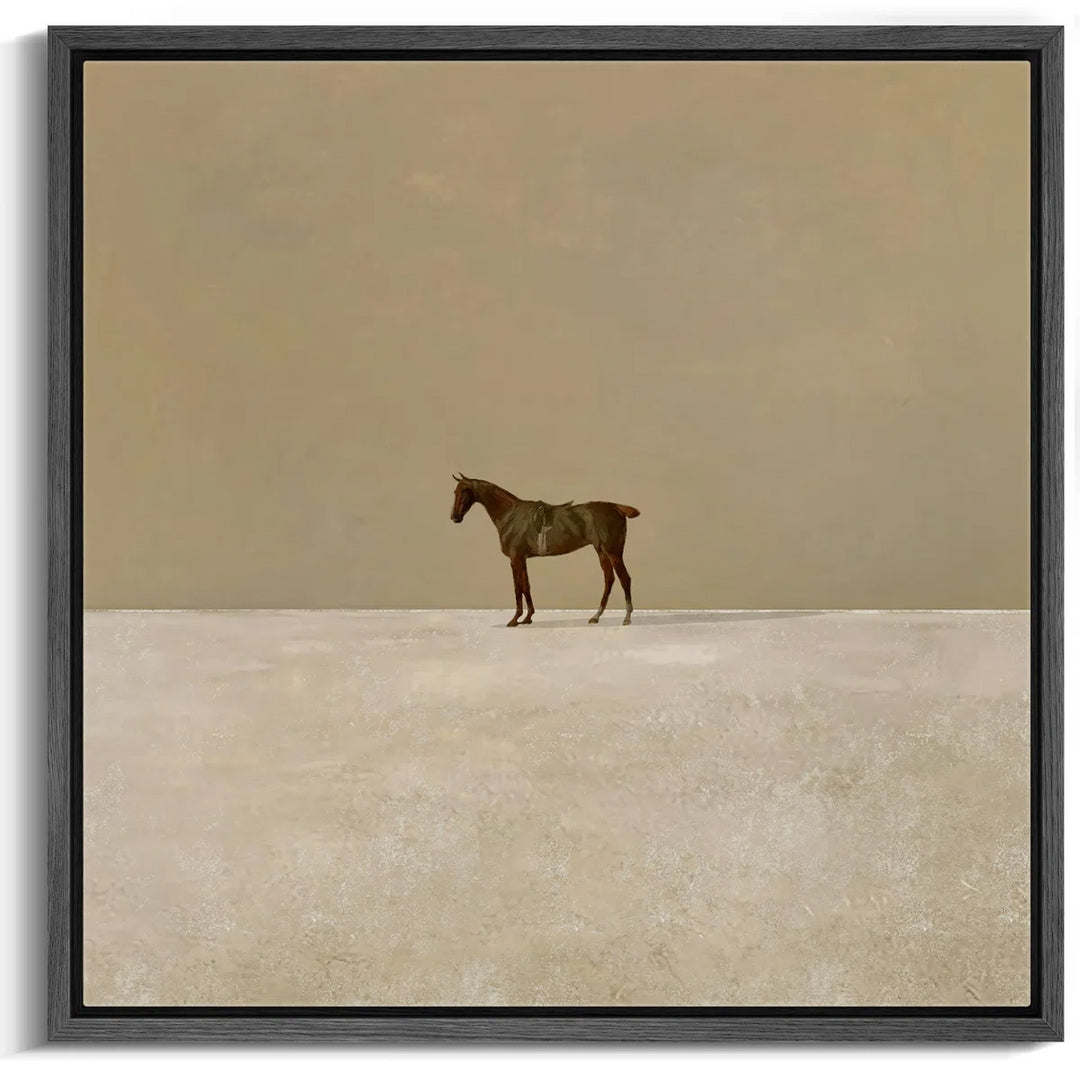 Lone Horse In Vast Photo Frame