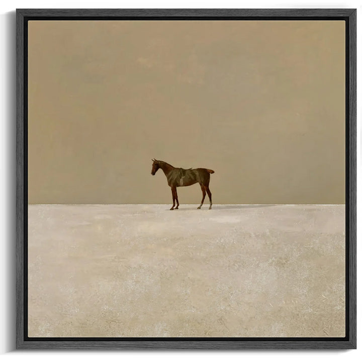 Lone Horse In Vast Photo Frame