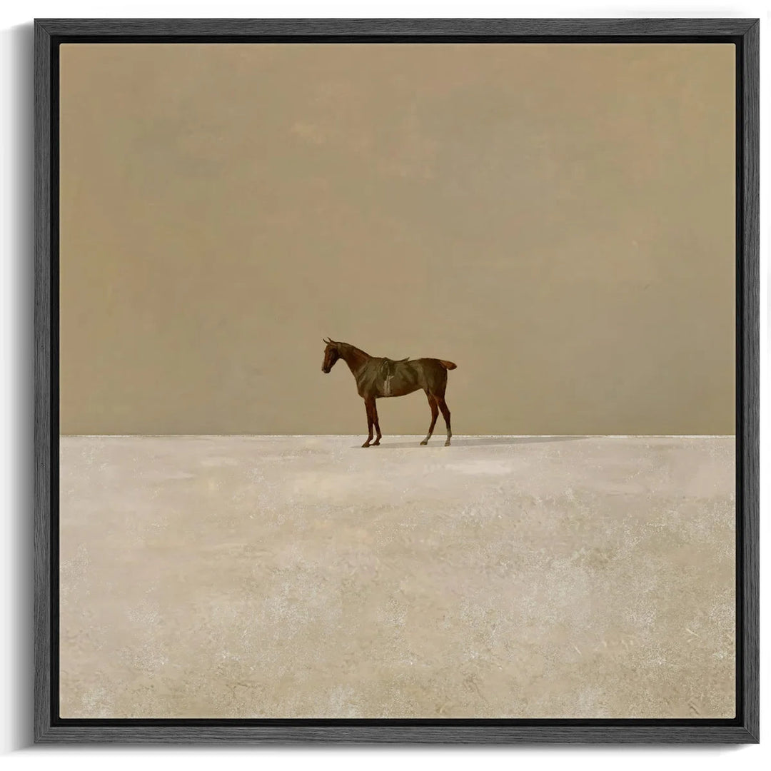 Lone Horse In Vast Photo Frame