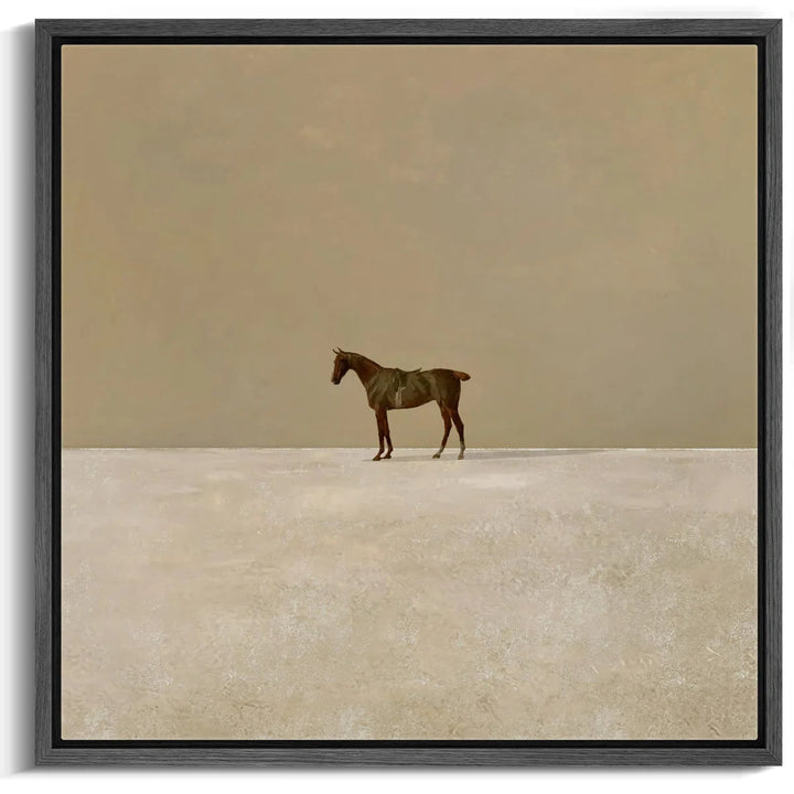 Lone Horse In Vast Photo Frame