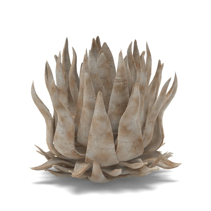 Agave Sculpture